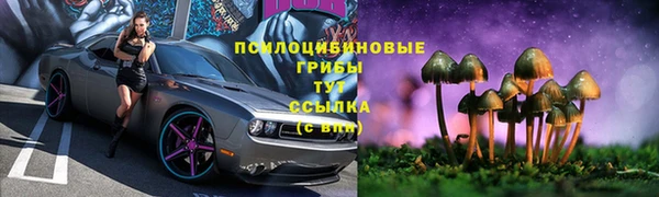 прущие крисы Аркадак