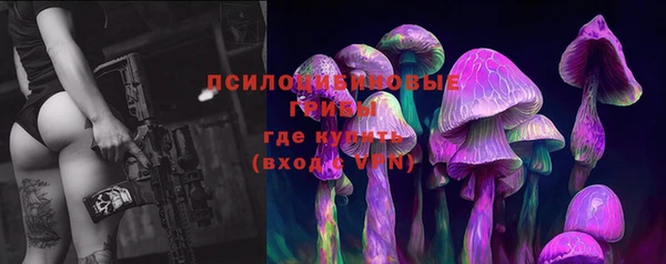 прущие крисы Аркадак